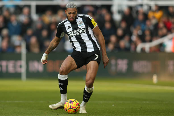 表现出色 表现出色